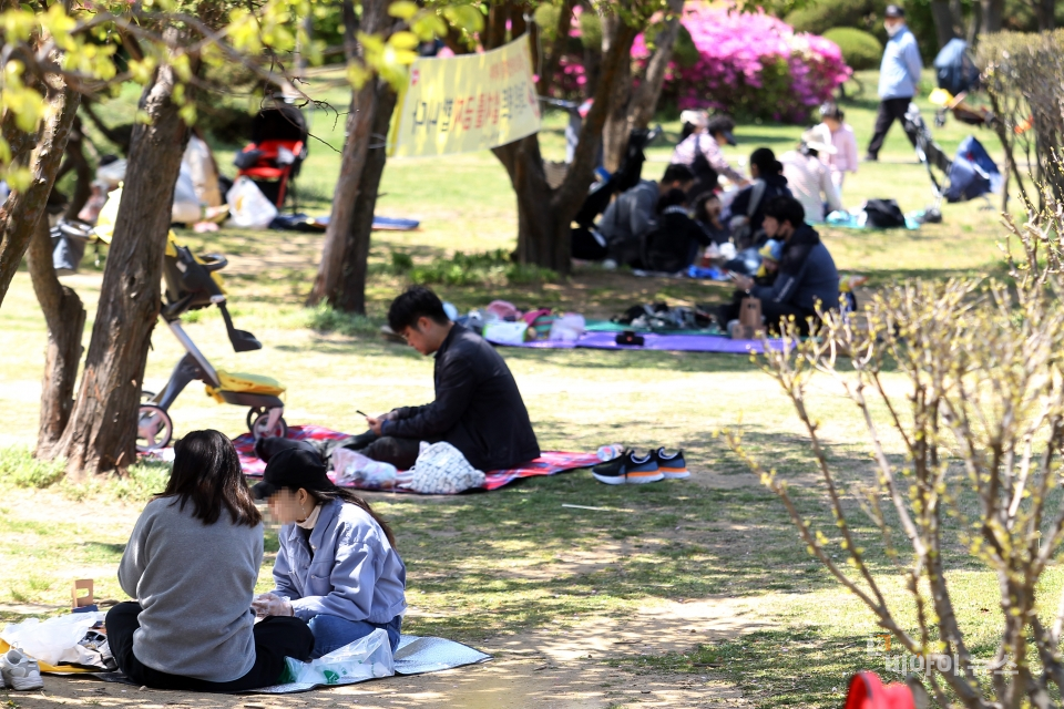 공원 곳곳이 답답한 실내를 벗어나 나들이 나온 시민들로 가득하다.