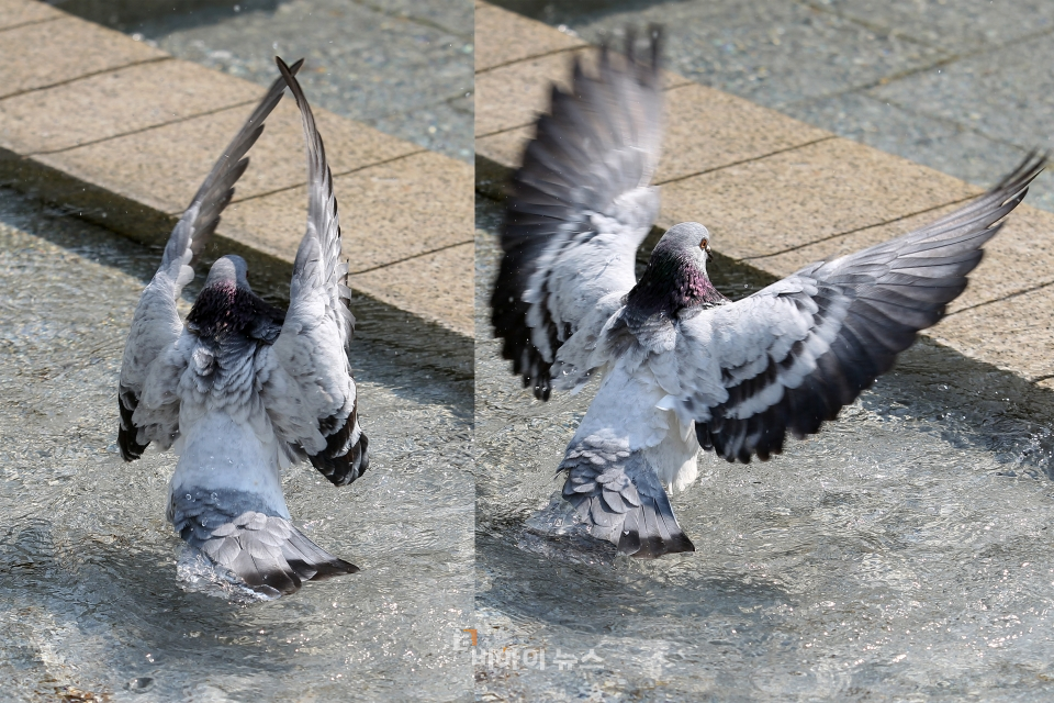 날아다니려면 스트레칭은 필수.