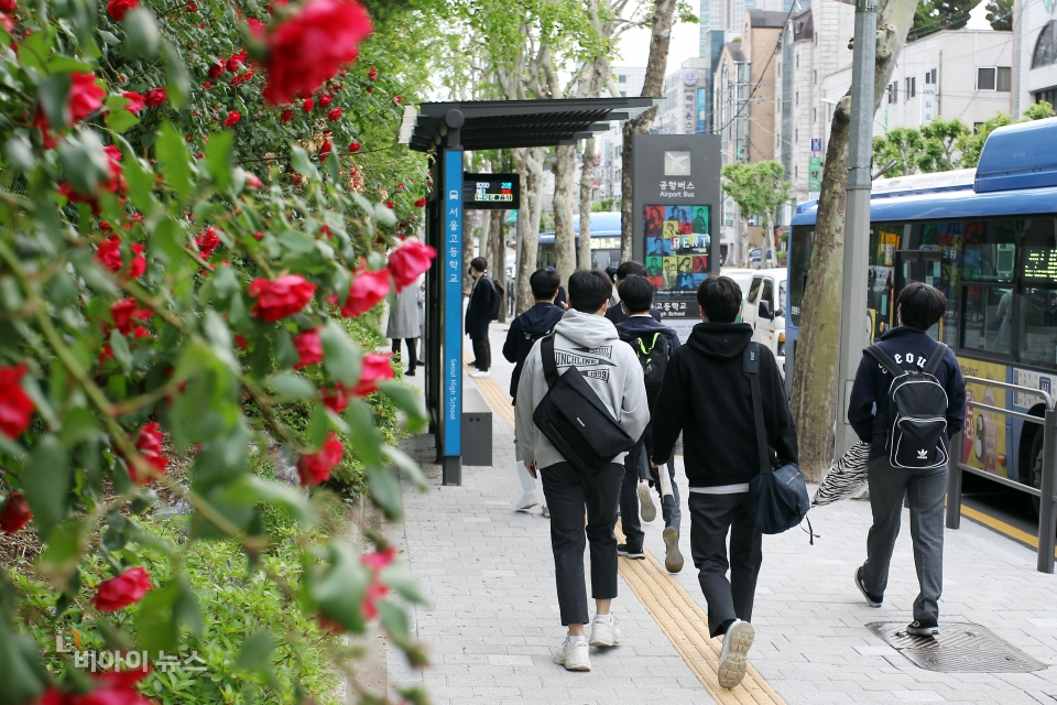 [포토] 장미꽃 피는 계절에 시작된 등교