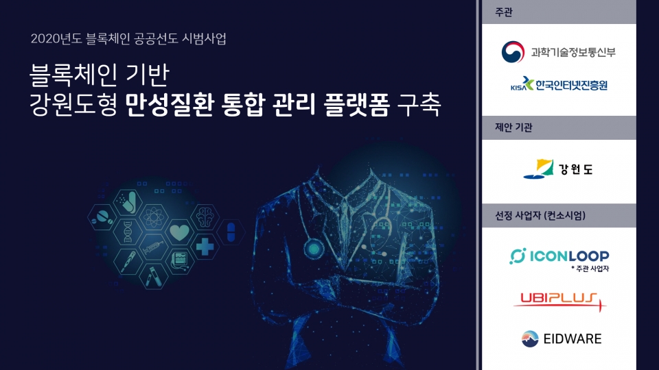 블록체인 기반 강원도형 만성질환 통합 관리 플랫폼/표=아이콘루프 제공